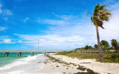 What’s the Tampa Bay Real Estate Market like today