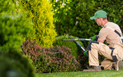 Summer Maintenance Checklist